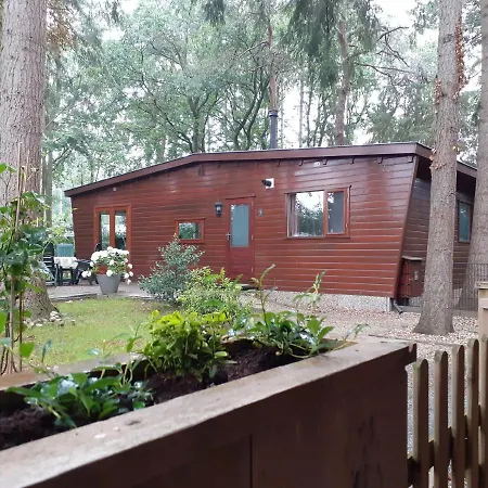 T'bakkersboschje Nummer 5 *