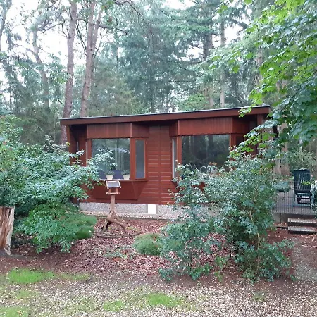 T'bakkersboschje Nummer 5 Putten