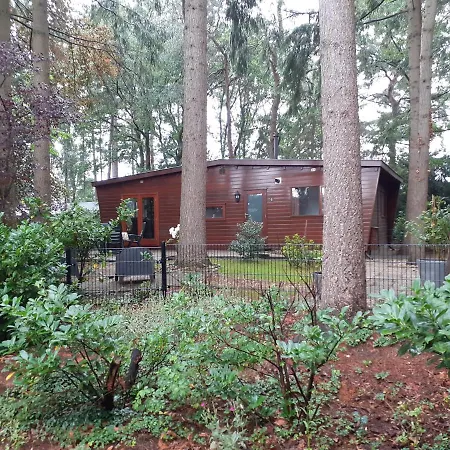 T'bakkersboschje Nummer 5 * Putten