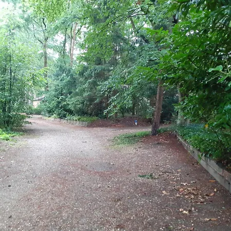 T'bakkersboschje Nummer 5 Alpesi faház Putten