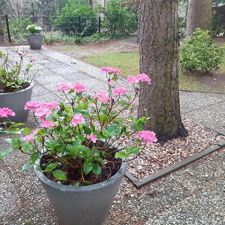 T'bakkersboschje Nummer 5 * Putten
