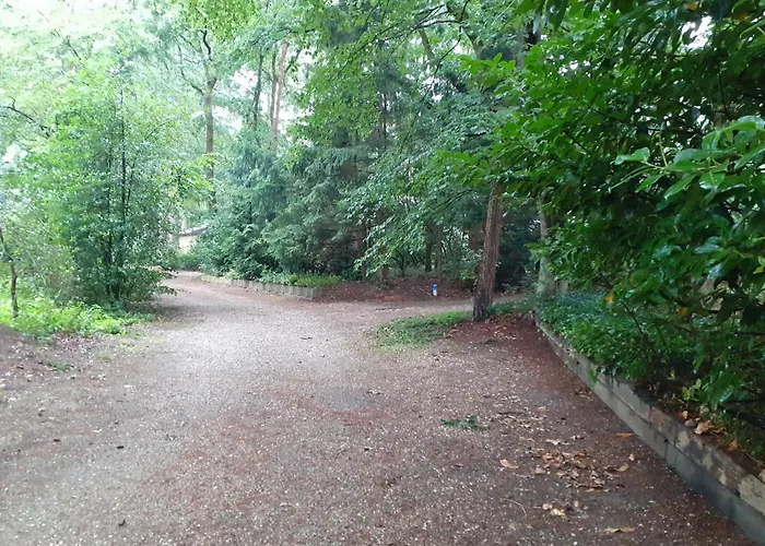 T'bakkersboschje Nummer 5 Chalet Putten