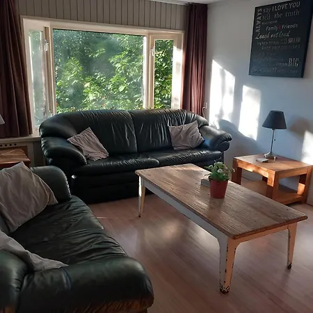 Chalet T'bakkersboschje Nummer 5 Putten