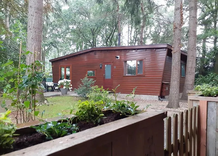 T'bakkersboschje Nummer 5 *