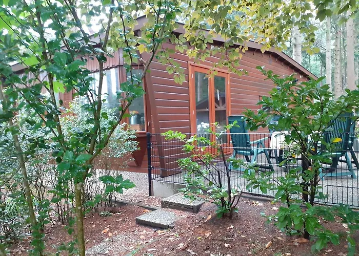 T'bakkersboschje Nummer 5 Chalet *