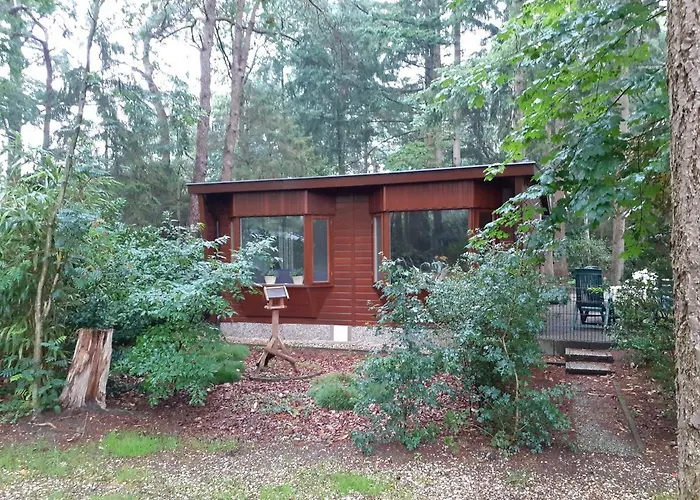 T'bakkersboschje Nummer 5 Putten