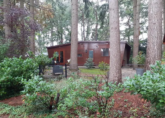 T'bakkersboschje Nummer 5 * Putten