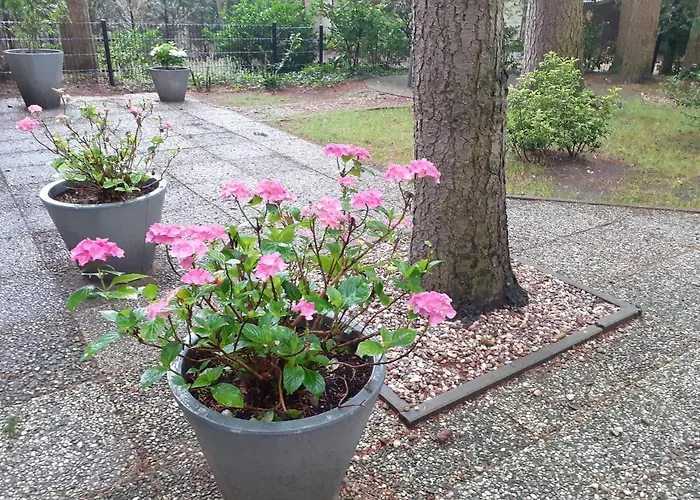T'bakkersboschje Nummer 5 * Putten